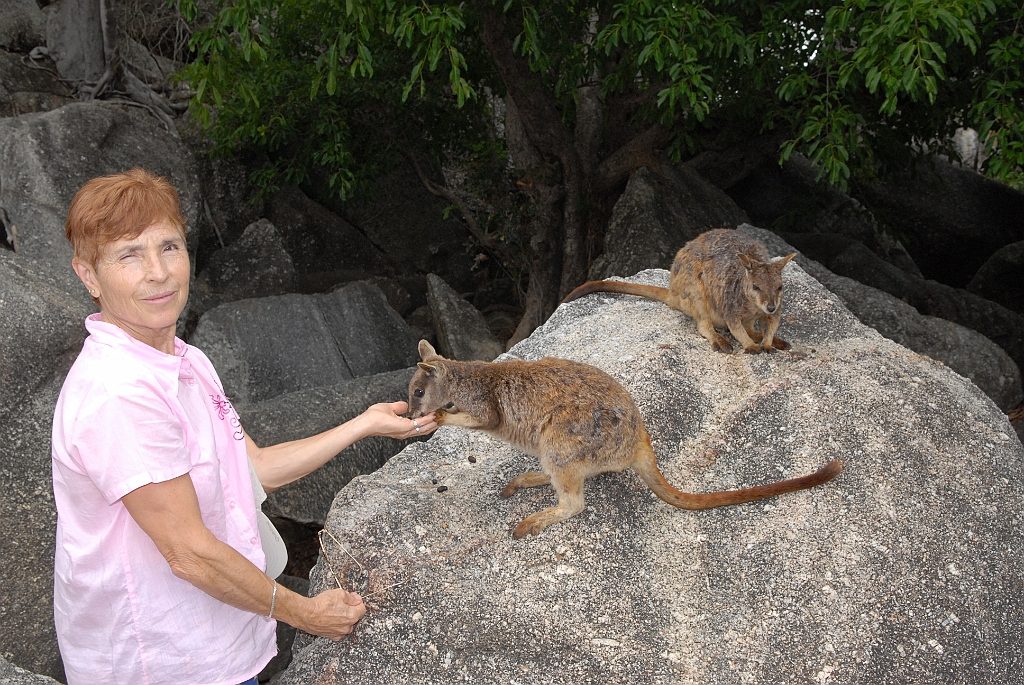 0275 Granite Gorge.jpg